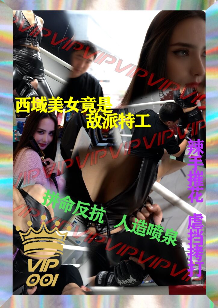 VIP—001 World Release - JAV Tube & Boxing JAVアキバコム
